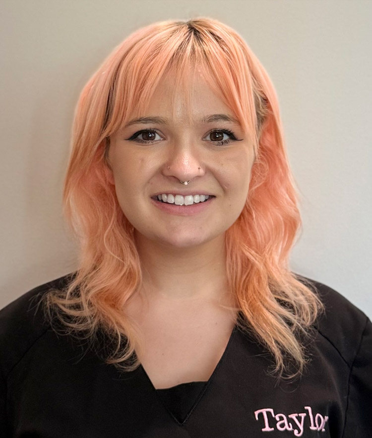 Meet Our Team