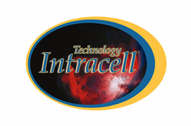 RPI of Atlanta Intracell The Stick</a>