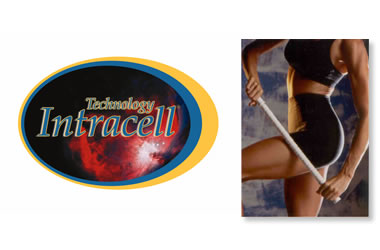 RPI of Atlanta Intracell The Stick