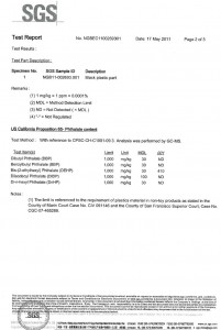 The Stick - SGS report page 2